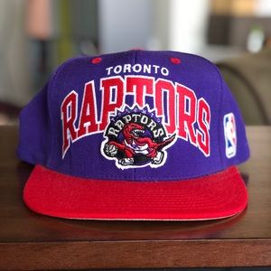 Toronto Raptors Mitchell & Ness adjustable hat
